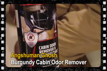 Angshuman Ghosh Burgundy canbin odor remover and disinfectant