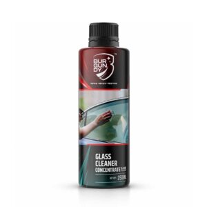 Burgundy™ Glass Cleaner Concentrate 1:15