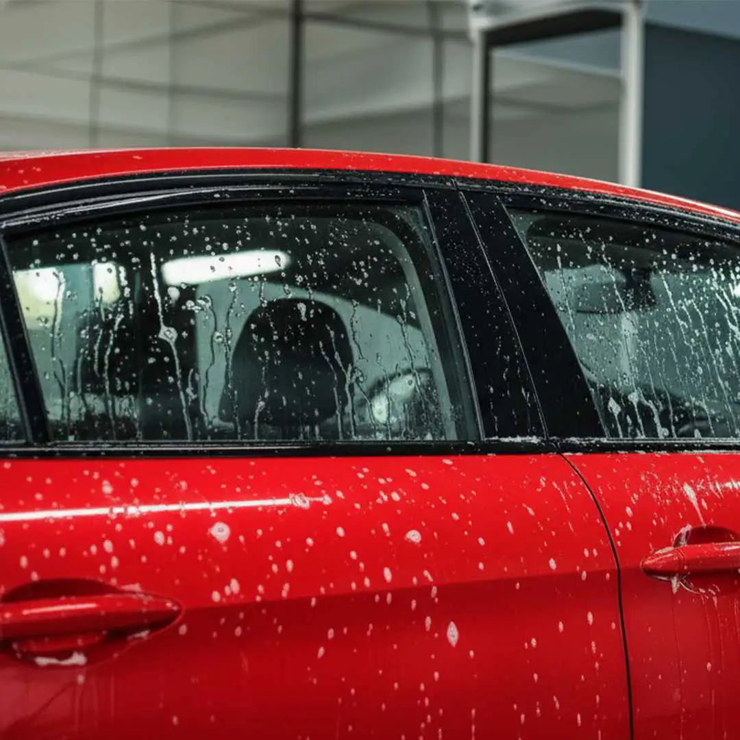 Burgundy™ Universal Car Wash Shampoo Concentrate (1:100)