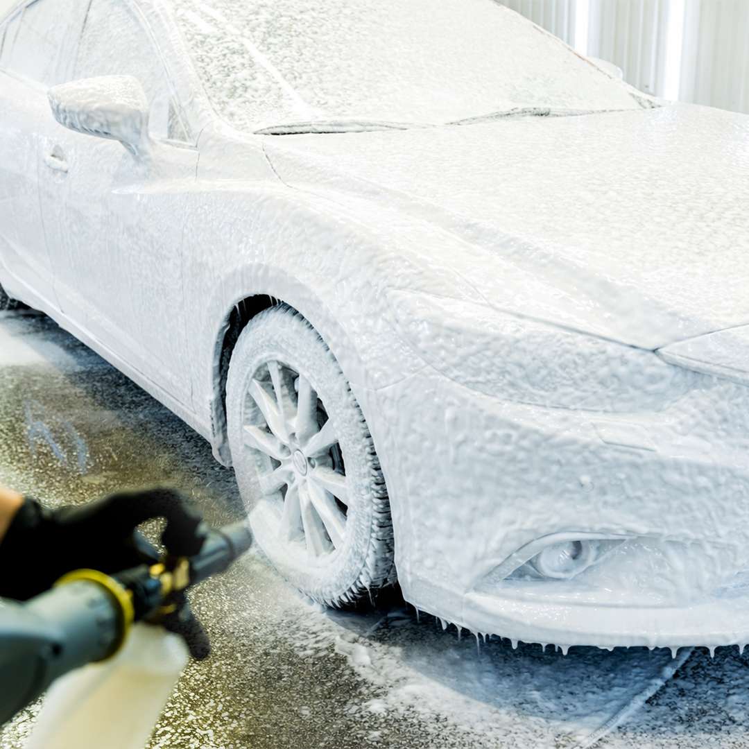 Burgundy™ Premium Snow Foam Shampoo